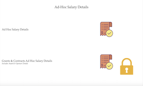 Ad-Hoc Salary Details