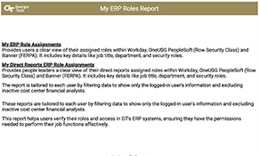 My ERP Roles Report